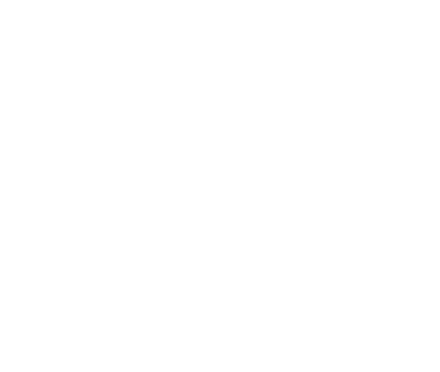 Sales Momentum Group